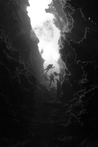 Divers enter Piccaninnie Ponds, Mount Gambier South Austr... by Mick Tait 